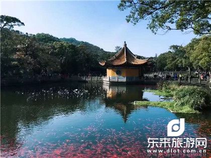 海天佛国普陀山祈福纯玩2飞3日游 (普陀山上住两晚)