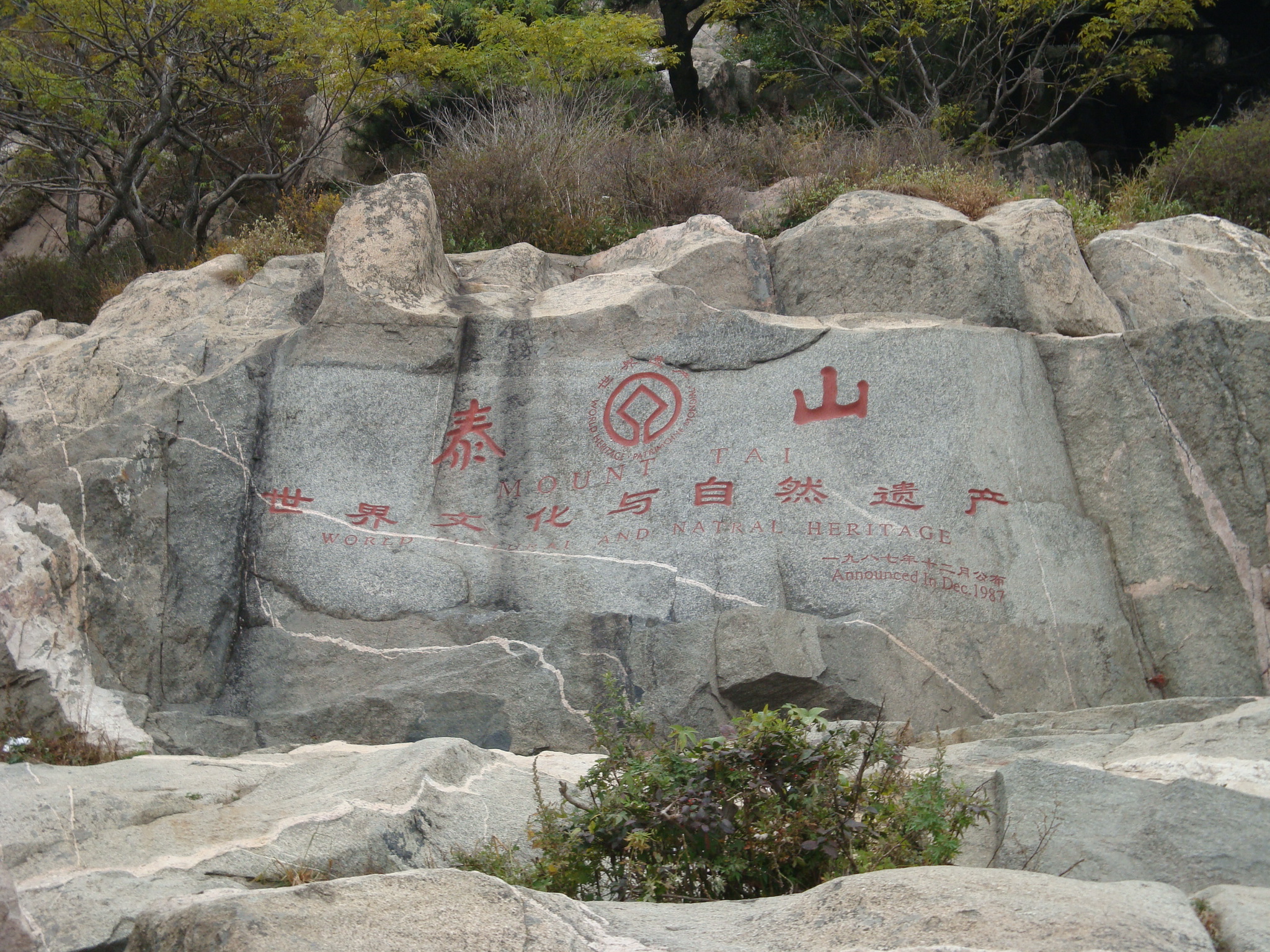 济南、泰山+岱庙、曲阜+济南、趵突泉、大明湖、双船5日文化游