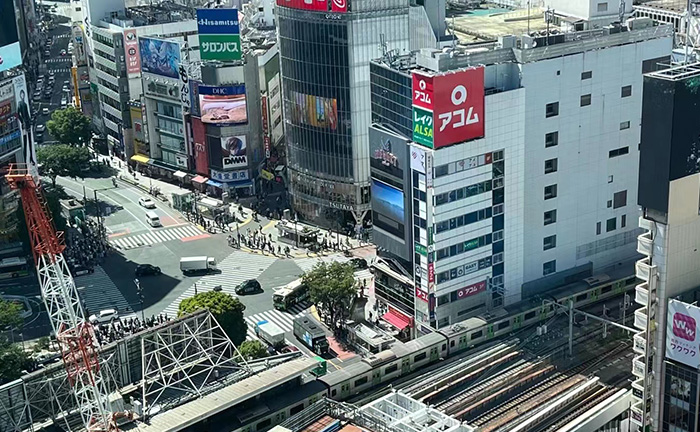 首尔-济州四飞六日游