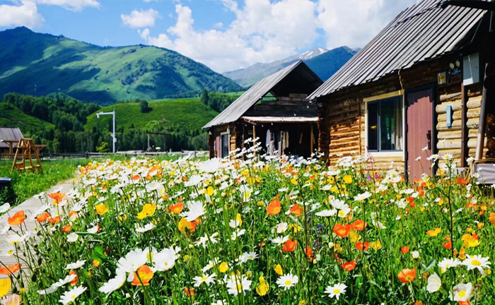 【花开伊犁】乌鲁木齐、独山子大峡谷、赛里木湖、果子沟大桥、昭苏夏塔喀拉峻、库克苏大峡谷、巴音布鲁克、吐鲁