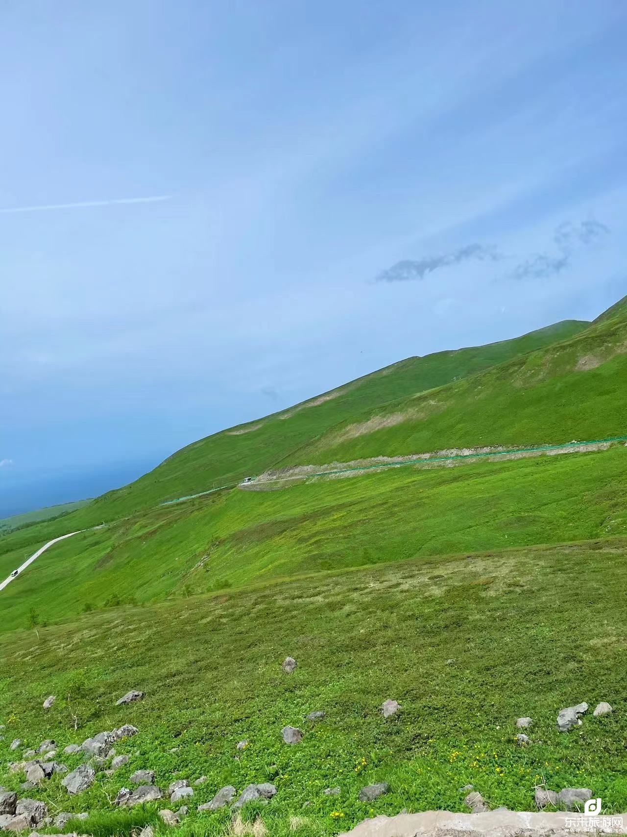 莫日格勒河/额尔古纳湿地/室韦/奥洛契庄园/油菜花海/专属牧场/186彩带河//满洲里/2飞5日