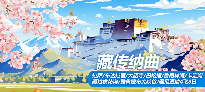 西藏