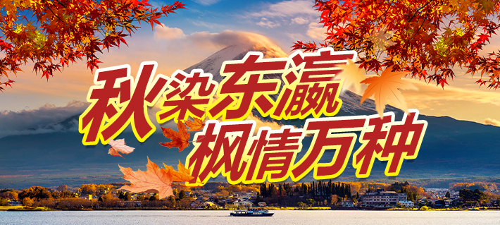 日本枫叶季